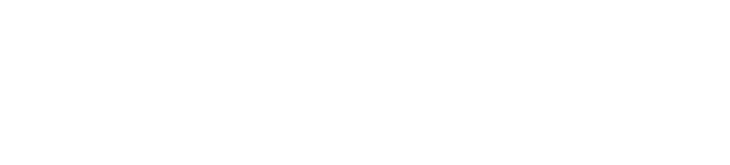 Festival Pro